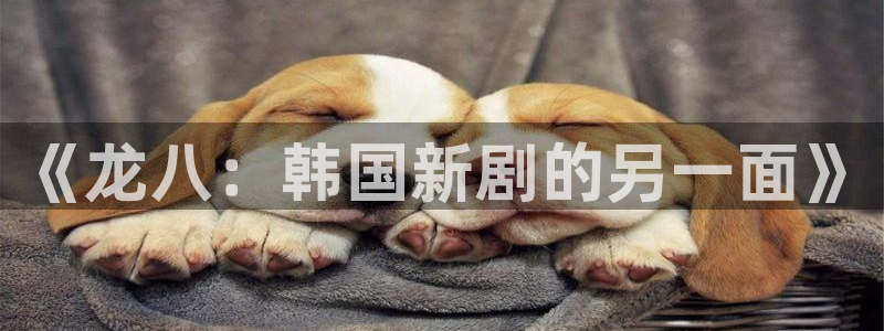 奇亿娱乐平台在线开户：《龙八：韩国新剧的另一面》