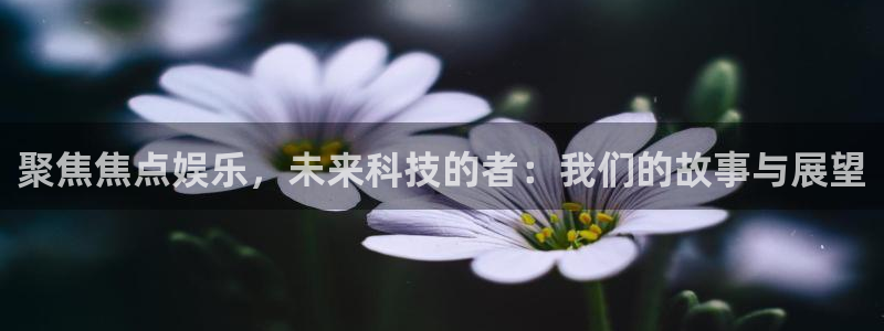 奇亿娱乐哪个游戏好爆：聚焦焦点娱乐，未来科技的者：我们的故事与展望