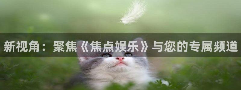佛山市南海奇亿娱乐机电仪器有限公司：新视角：聚焦《焦点娱乐》与您的专属频道