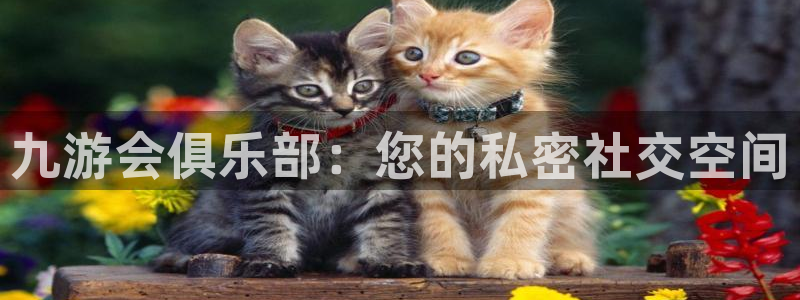 奇亿娱乐app最新版：九游会俱乐部：您的私密社交空间
