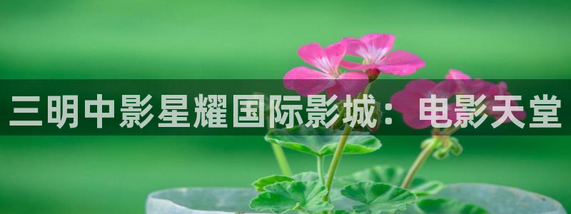 奇亿娱乐电子游戏：三明中影星耀国际影城：电影天堂