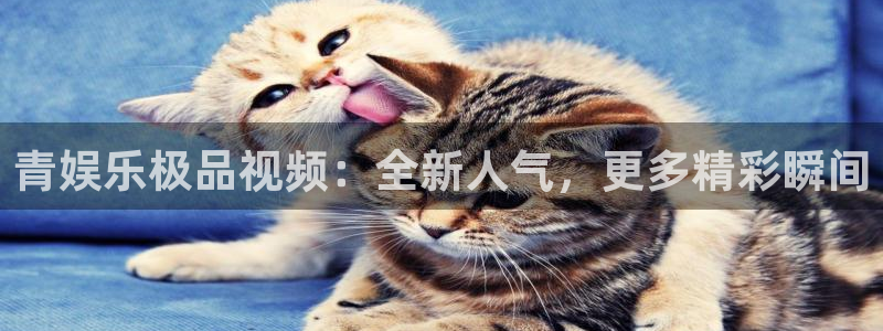 奇亿娱乐ccmpc：青娱乐极品视频：全新人气，更多精彩瞬间
