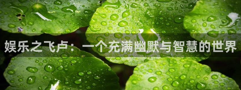 奇亿娱乐预测pc在线预测网址：娱乐之飞卢：一个充满幽默与智慧的世界