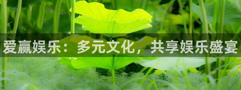 奇亿娱乐f凯捷注册：爱赢娱乐：多元文化，共享娱乐盛宴