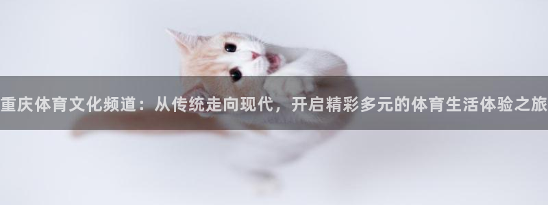 奇亿娱乐游戏：重庆体育文化频道：从传统走向现代，开启精彩多元的体育生活体验之旅