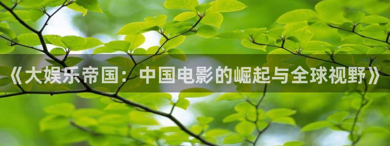 奇亿娱乐3官网：《大娱乐帝国：中国电影的崛起与全球视野》