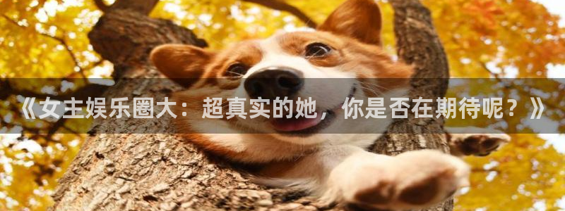 奇亿娱乐下载链接：《女主娱乐圈大：超真实的她，你是否在期待呢？》