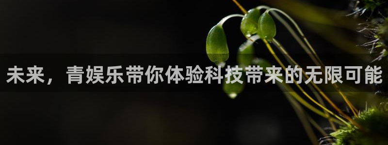 奇亿娱乐网站登录流程：未来，青娱乐带你体验科技带来的无限可能