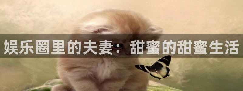 奇亿娱乐苹果手机下载链接：娱乐圈里的夫妻：甜蜜的甜蜜生活