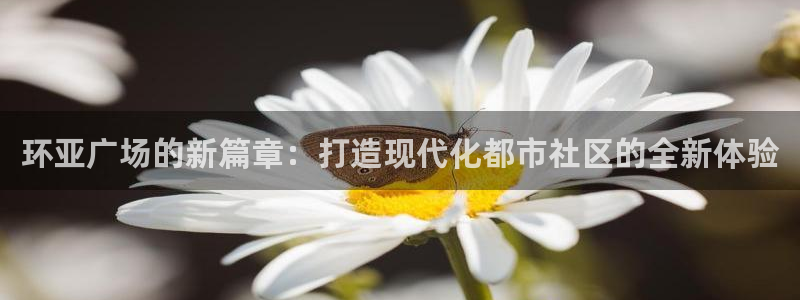 奇亿娱乐体育注册登录入口：环亚广场的新篇章：打造现代化都市社区的全新体验