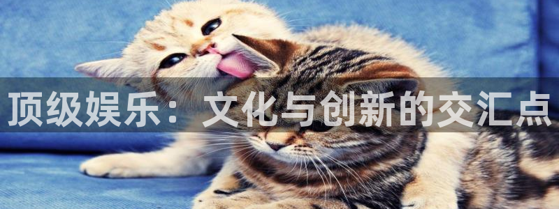 奇亿娱乐那个爆率高：顶级娱乐：文化与创新的交汇点