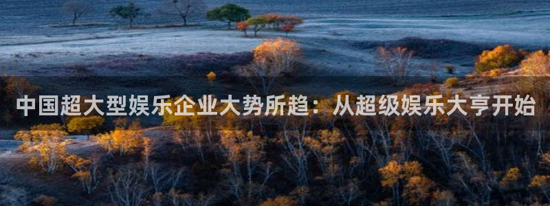 成都奇亿娱乐电子有限公司：中国超大型娱乐企业大势所趋：从超级娱乐大亨开始