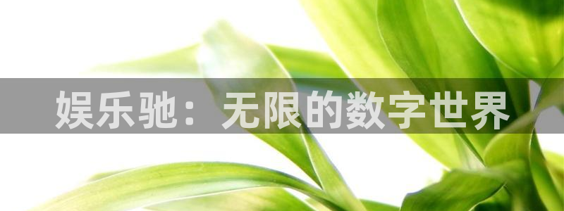 奇亿娱乐加拿大官网