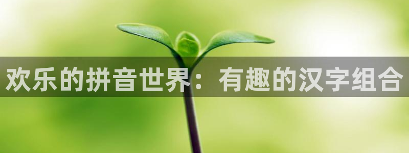 奇亿娱乐3注册：欢乐的拼音世界：有趣的汉字组合