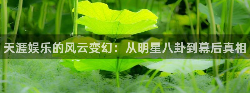 奇亿娱乐4登录：天涯娱乐的风云变幻：从明星八卦到幕后真相