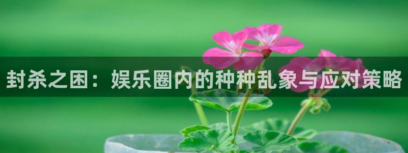 苹果版奇亿娱乐下载安装：封杀之困：娱乐圈内的种种乱象与应对策略