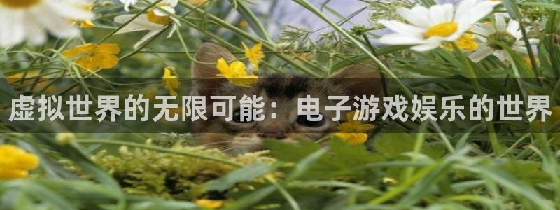 奇亿娱乐体育热门赛事有哪些：虚拟世界的无限可能：电子游戏娱乐的世界