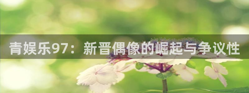 奇亿娱乐ccmpc：青娱乐97：新晋偶像的崛起与争议性