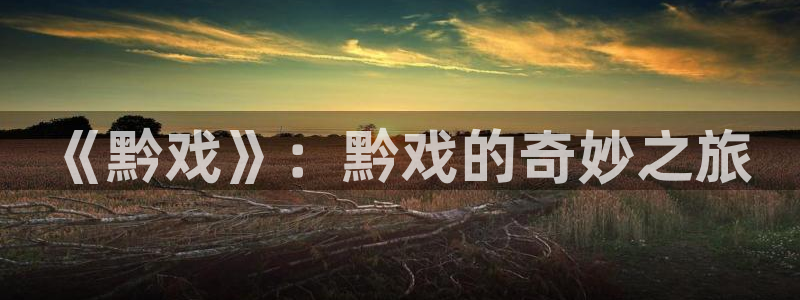 奇亿娱乐网站平台：《黔戏》：黔戏的奇妙之旅