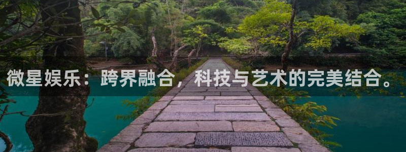 奇亿娱乐加拿大：微星娱乐：跨界融合，科技与艺术的完美结合。