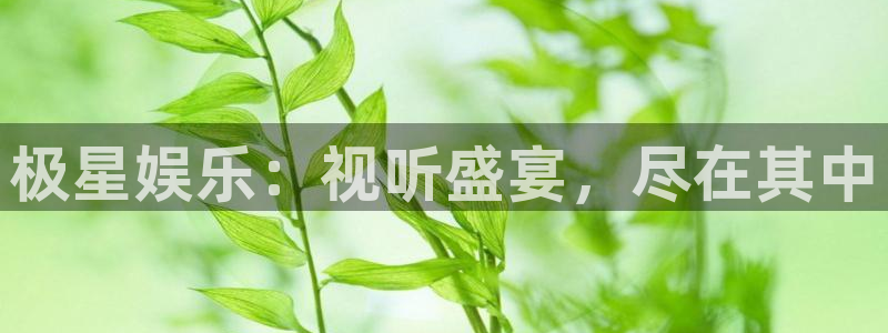 奇亿娱乐加拿大下载：极星娱乐：视听盛宴，尽在其中